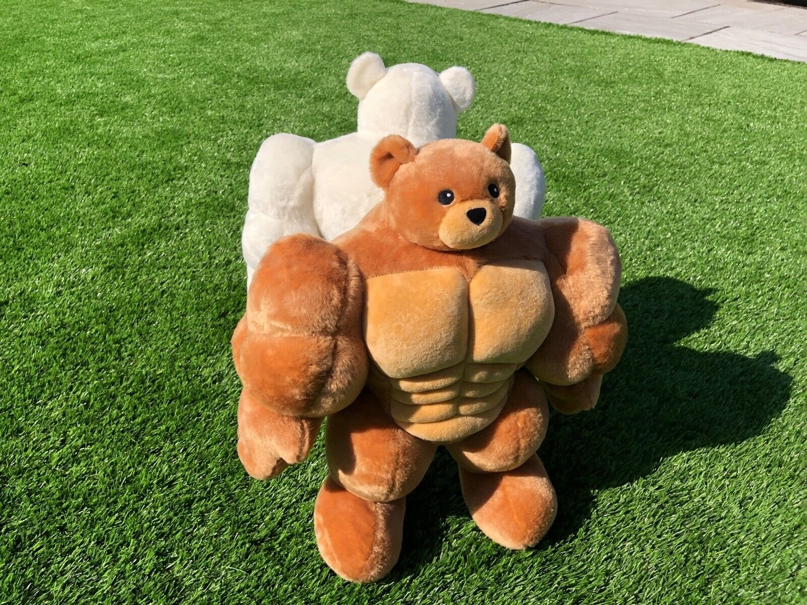 Brown Brawny Muscle Bear - Image 2