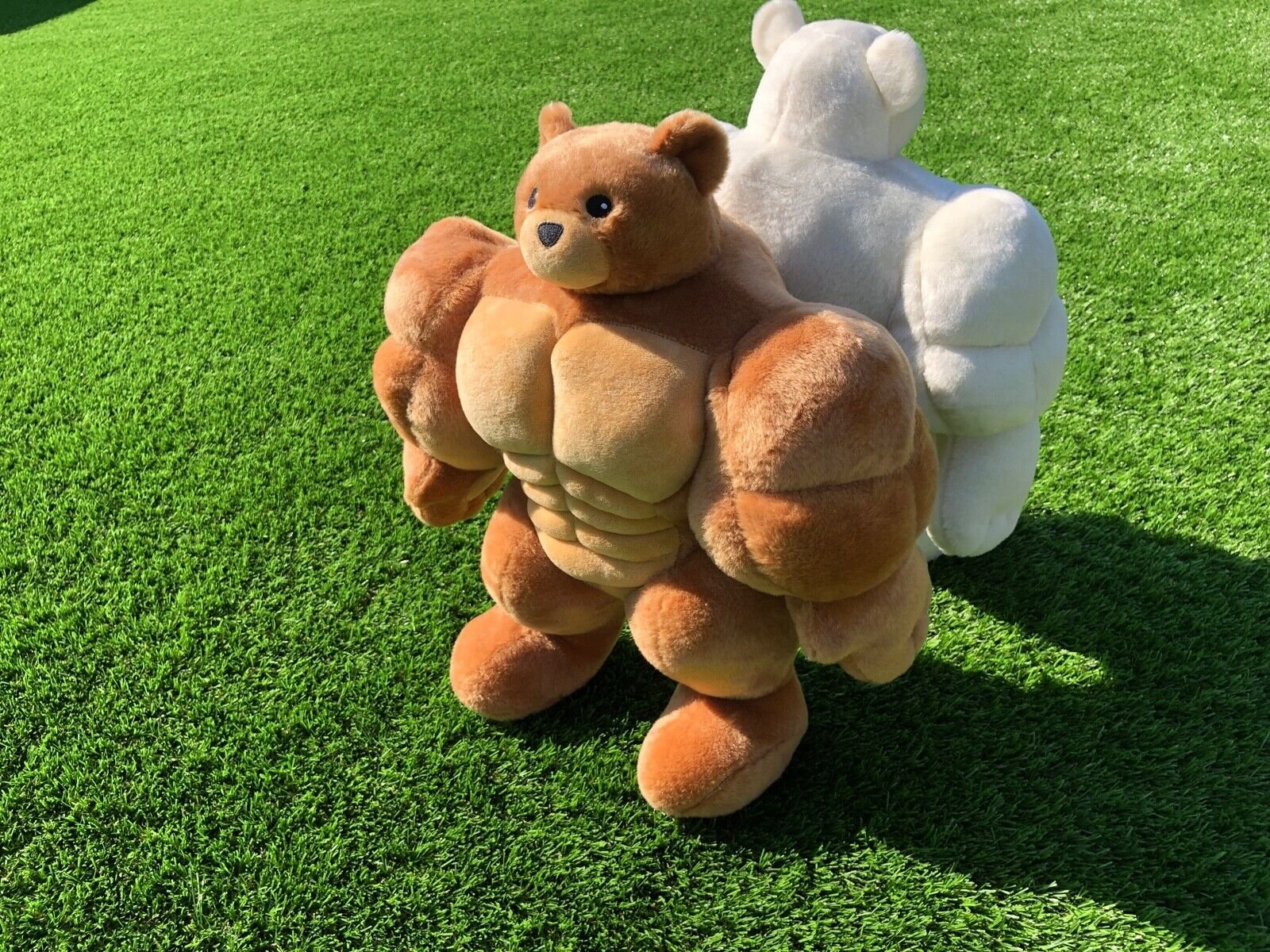 Brown Brawny Muscle Bear - Image 3