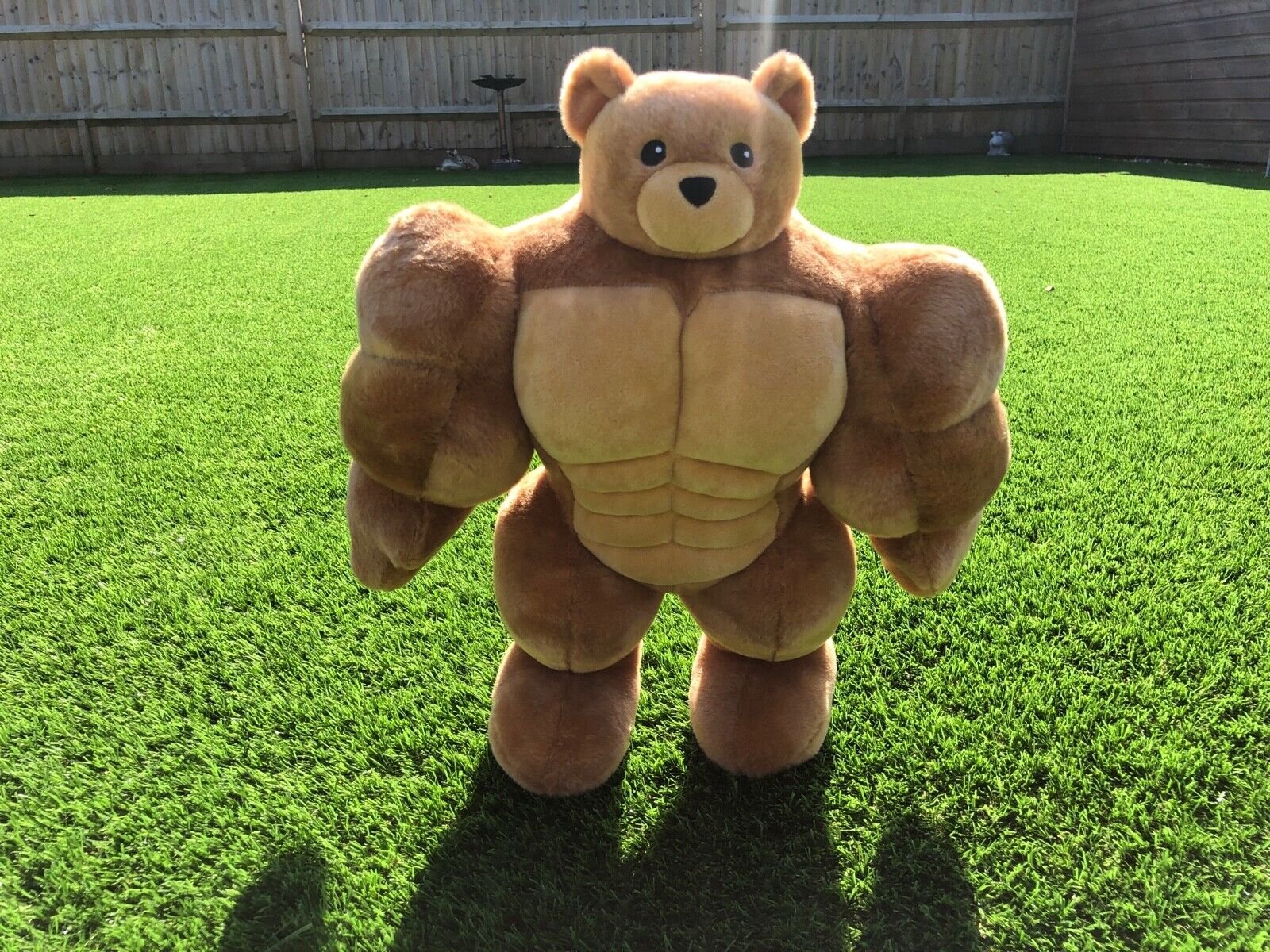 Brown Brawny Muscle Bears Think IKEA