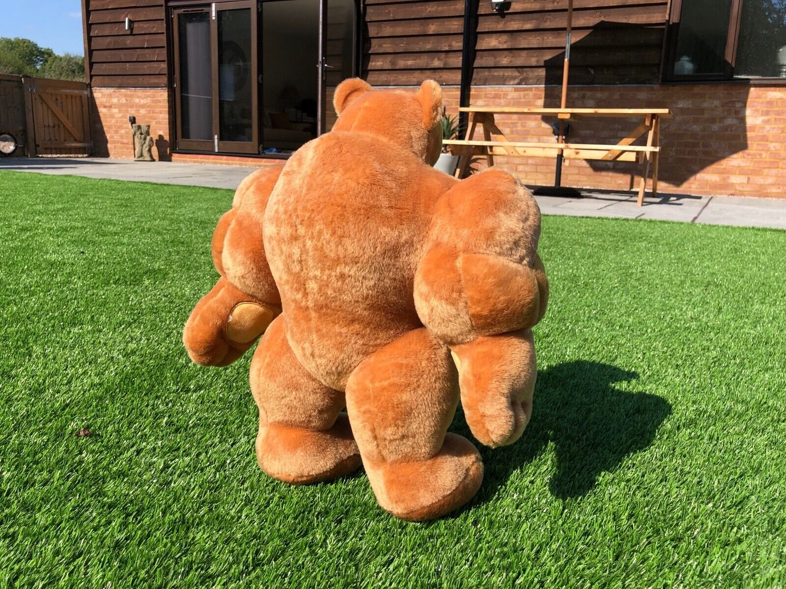 Brown Brawny Muscle Bear - Image 4