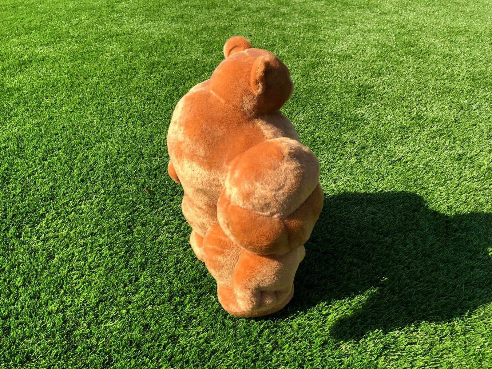 Brown Brawny Muscle Bear - Image 5